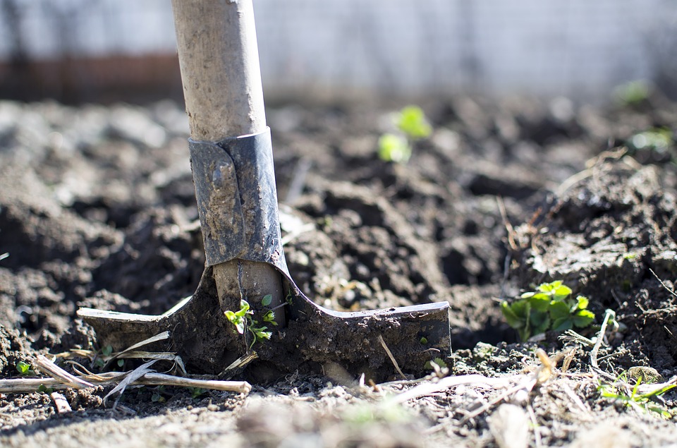 Here's a list of things you should do to make your garden perfect